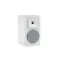 Martin Logan Foundation B1 Satin White