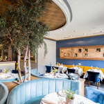 Панель потолочная Ecophon Focus DS Т15 белый Frost 600х600х20 мм