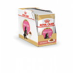 Royal Canin Maine Coon Kitten Мейн Кун Киттен Корм влажный для котят породы Мэйн Кун в возрасте до 15 месяцев соус 85г
