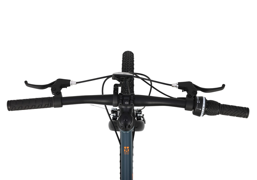 Maxiscoo 3BIKE 24'' M (2025)