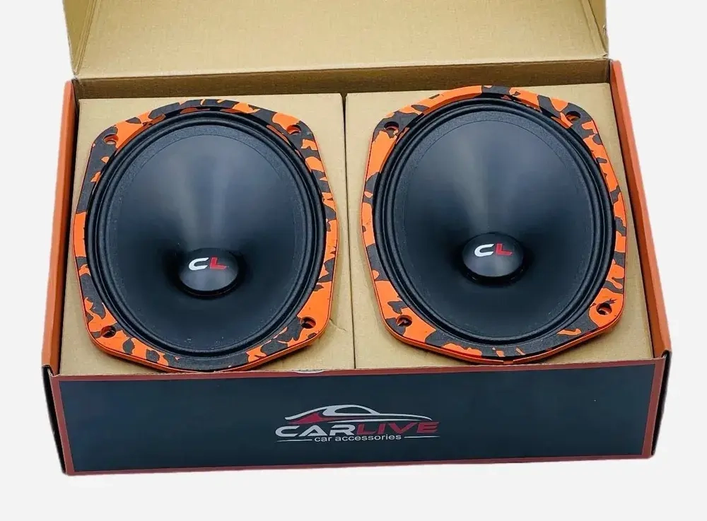Эстрадная акустика Carlive DCL690 15x23sm (6x9)" Овальные S006
