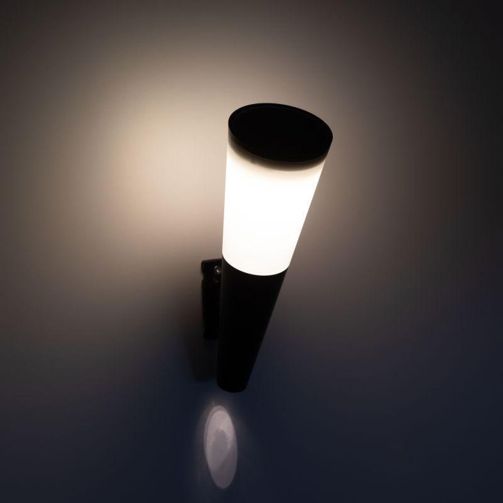 Светильник светодиодный ERAFS012-09 &quot;Факел&quot; 1LED RGB уличный настенный на солнечн. батарее Эра Б0057596