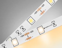 Ambrella Светодиодная лента Ambrella Light GS1801 5050 30Led /7.2W m/ 12V IP20 3000K 5m LED Strip 12V GS1801