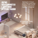 Умная колонка ЯНДЕКС Станция Мини 3 Про, 18Вт, с Алисой, черный Zigbee [yndx-00059blk]