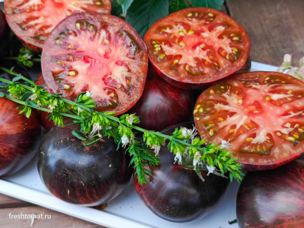 Бифштекс Марши (Marsha’s Starfighter Beefsteak) сорт томата