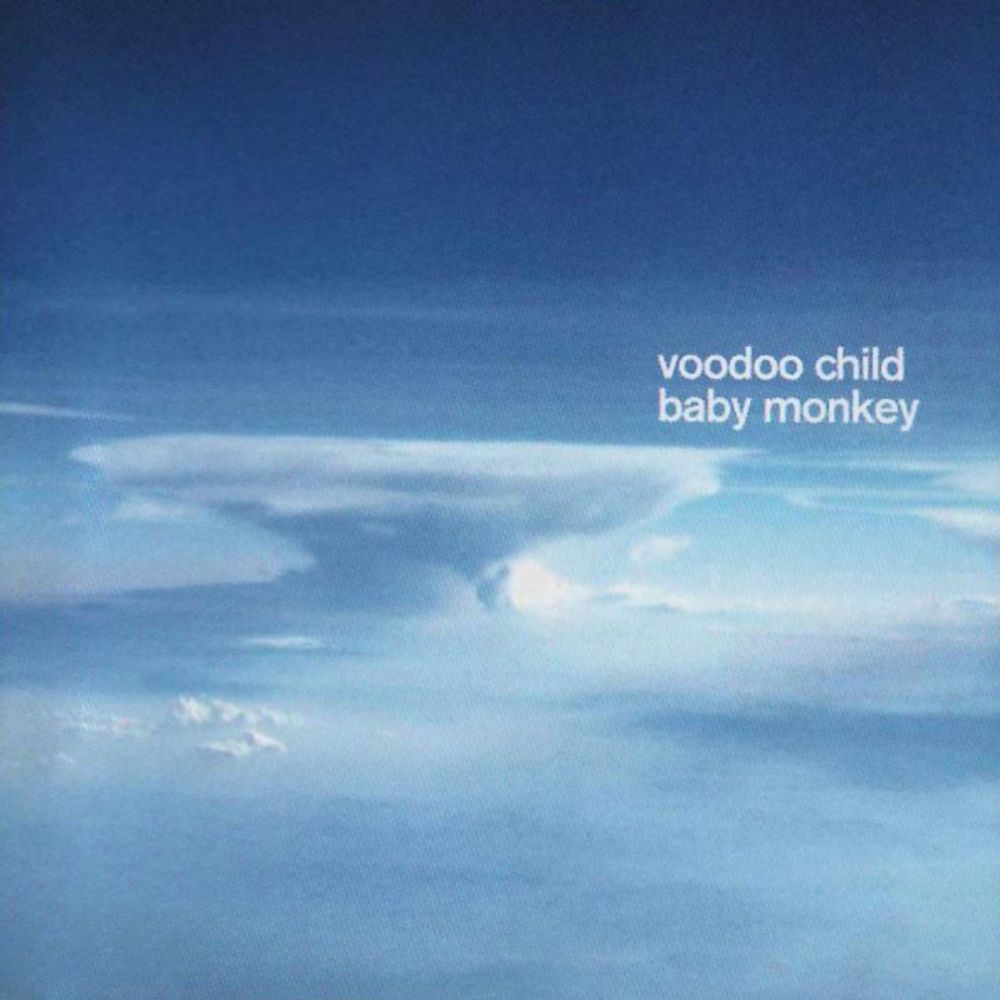 Moby And Voodoo Child / Baby Monkey (RU)(CD) Moby And Voodoo Child / Baby Monkey (RU)(CD)