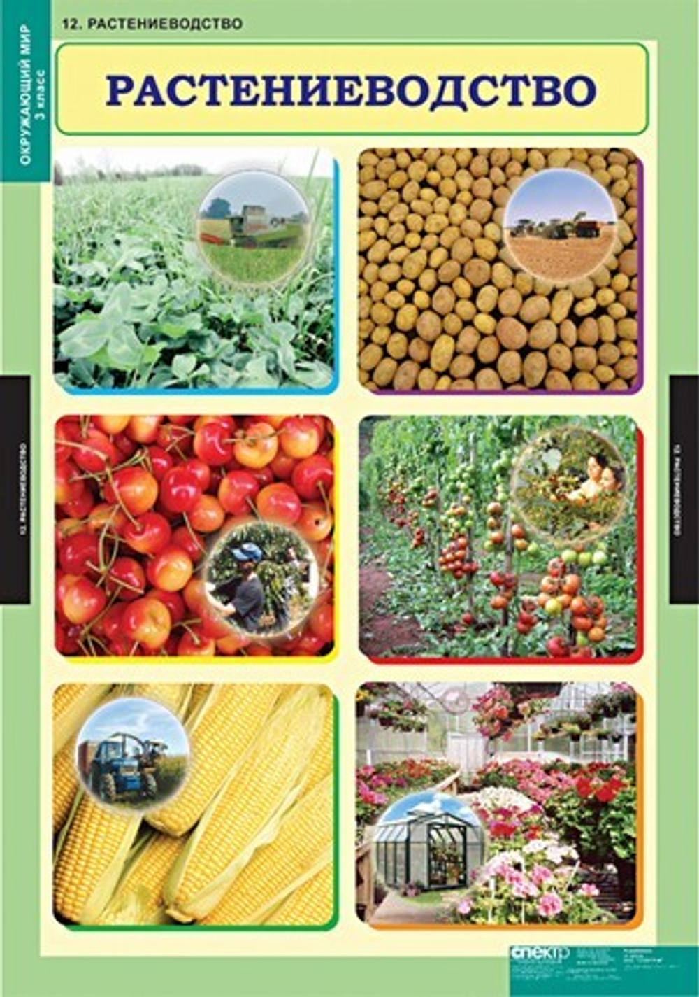 Комплект таблиц "Окружающий мир 3 кл."; 15 таблиц