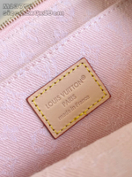 Louis Vuitton Cosmetic Pouch PM