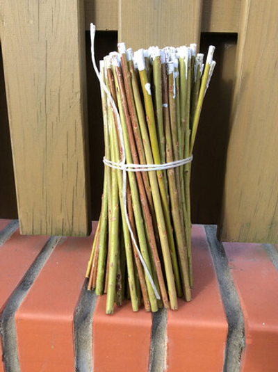 Ива пурпурная (Salix Purpurea) Арт№ SP