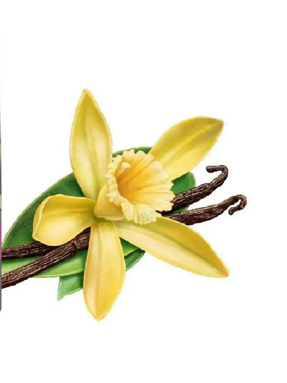 Ароматизатор Спрей Ваниль 50мл