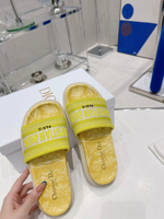 Christian Dior Dway Slide