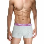 Трусы мужские боксеры светло-серые DARKZONE DZN2216