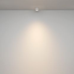 Светильник потолочный Maytoni   C095CL-GX53-W