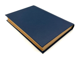 Мандельштам М. Л. 1905 год в политических процессах. Записки защитника. Лд.,ОГИЗ., 193? 384 с. 21 х