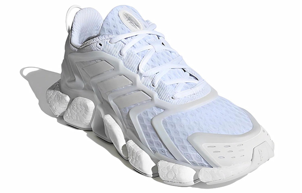 Кроссовки Adidas Climacool Boost