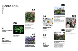 Цветоводство ЛЕТО 2024