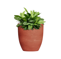 Кашпо, коллекция Color, форма VASE3