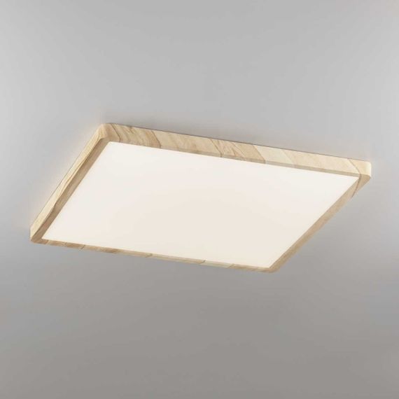 Светильник накладной Citilux Бейсик CL738K502V
