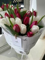Букет из 25 классических белых и красных тюльпанов