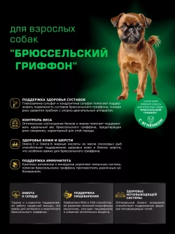 Корм сухой для собак Брюссельский гриффон, ягненок 800 гр