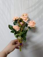 Роза кустовая бархатная, без кашпо.