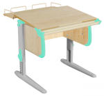 Растущая парта Дэми СУТ 24 с задней полкой СУТ.14.210 (750×880 мм)