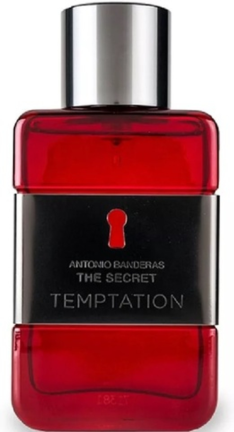 Antonio Banderas The Secret Temptation Man