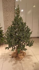 Искусственная ель на ножке «Датская» (хвоя Литая) 150 см / 1.5 м