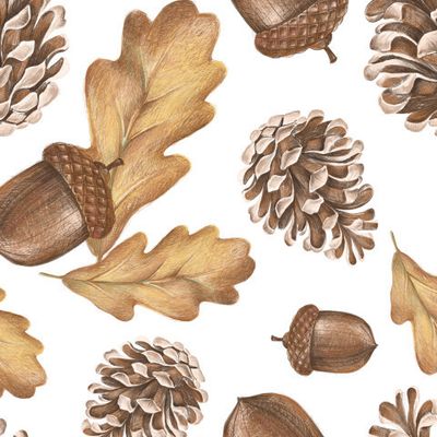 Осенний лес