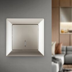 Выключатель Intro Solo 4-102-04 одноклавишный с подсветкой, 10А-250В, IP20, СУ, шампань