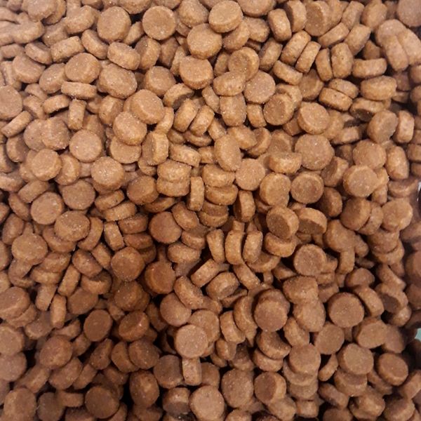 Уценка! Повр.упак. / Сухой корм ProBalance Puppies Maxi для щенков крупных пород