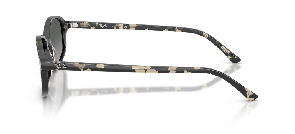 Ray-Ban RB2232 133371 Tortoise