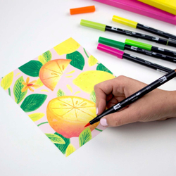 Набор Tombow AB-T Dual Brush 10 Citrus Palette