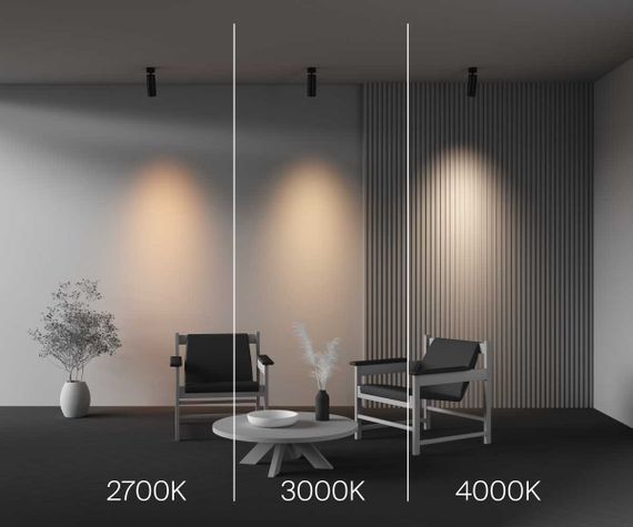 Потолочный светильник Maytoni Technical Ceiling FOCUS LED C055CL-L20W2.7-3-4K-M-B