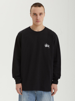 Мужской Лонгслив Basic Stussy