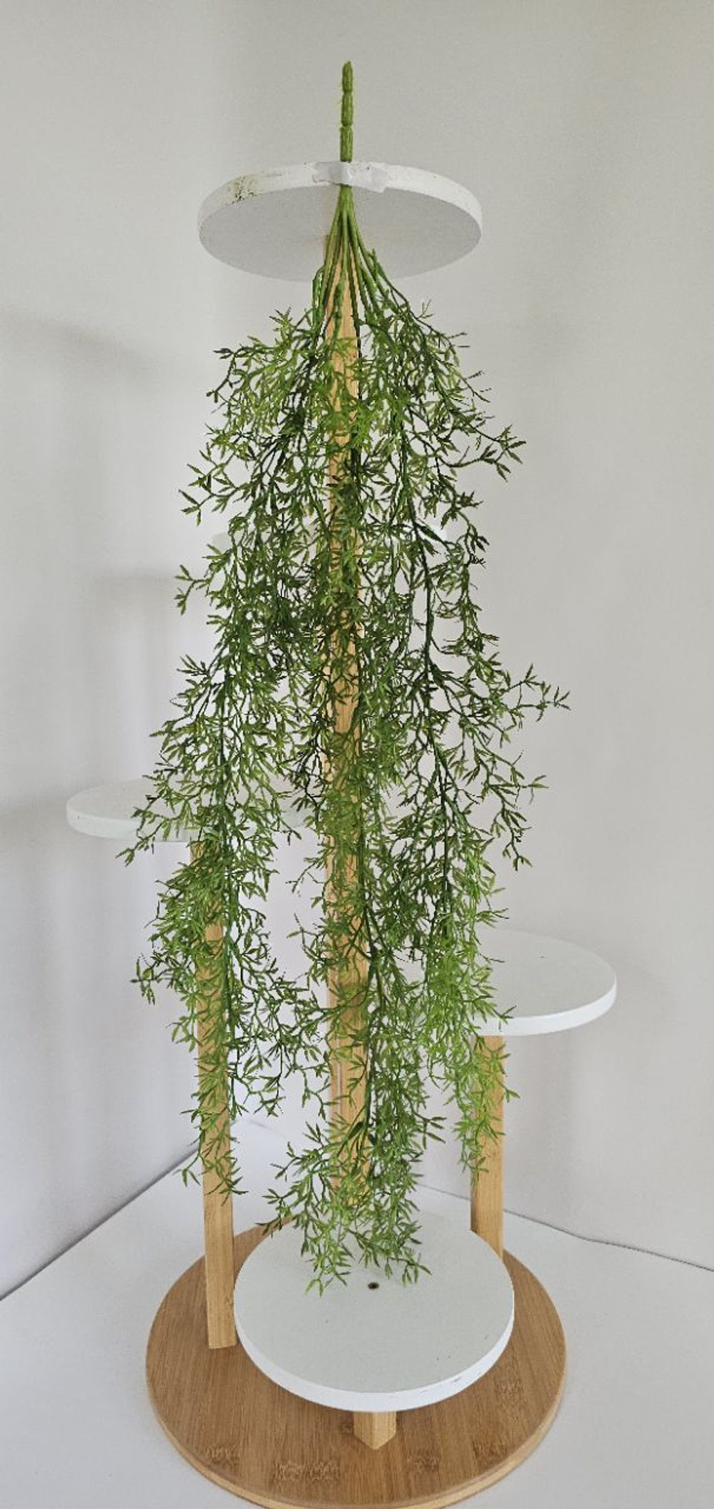 Рипсалис / Арт 4438