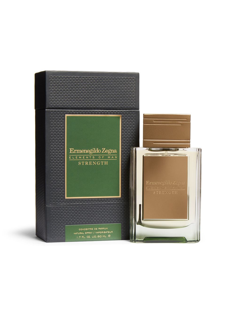 Ermenegildo Zegna Strength