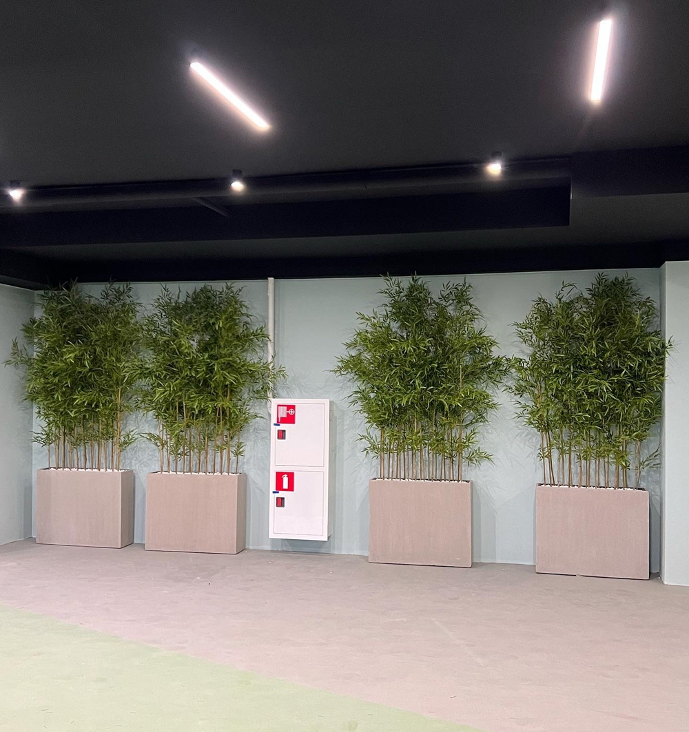 5.23. Искусственный бамбук в кашпо для ЖК «Development Plaza»