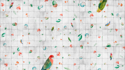 Коллекция WONDERLAND