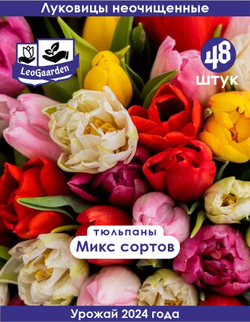 Тюльпан Луковицы неочищенные, Микс сортов, 48шт
