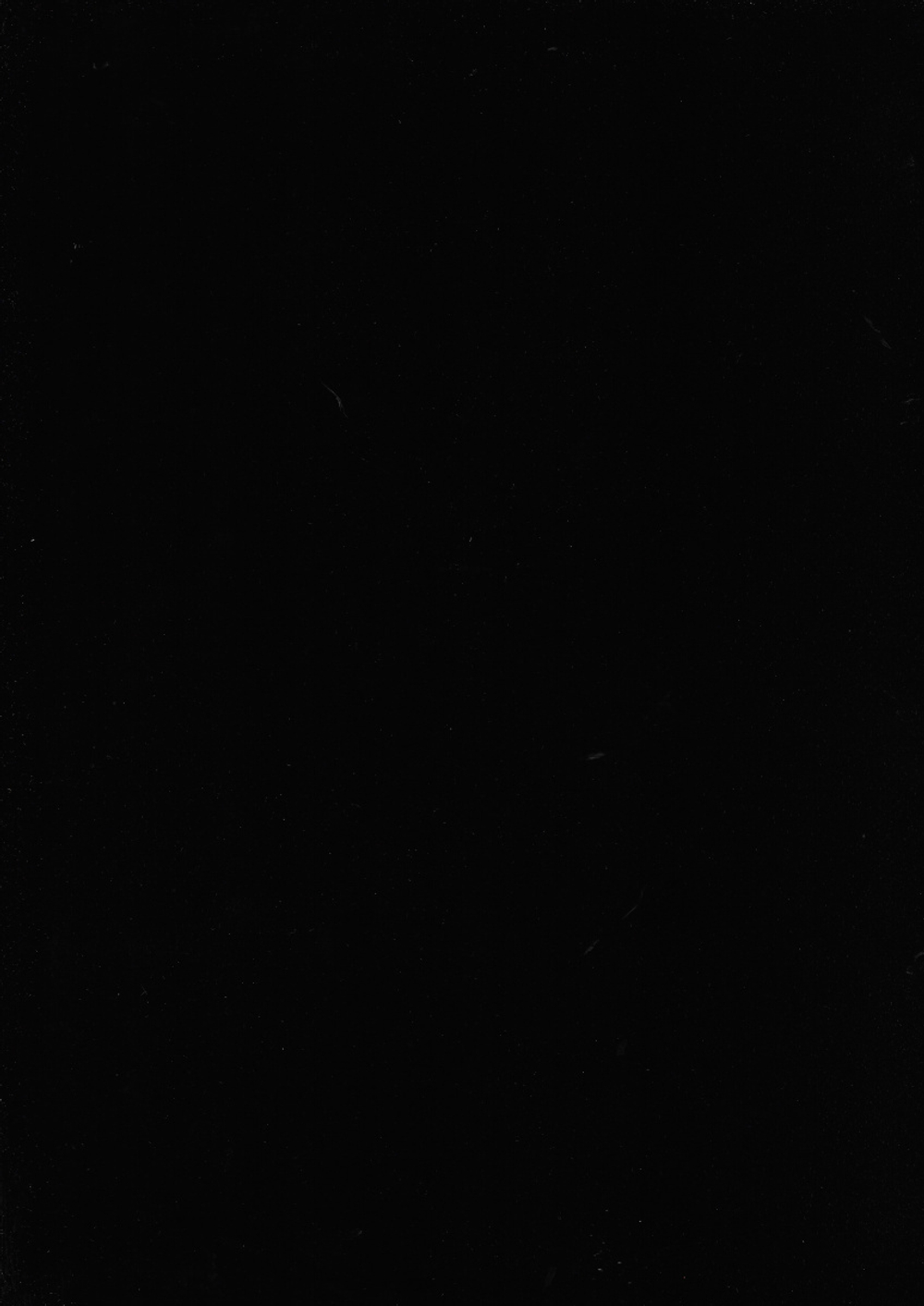 Флок ЧЁРНЫЙ футлярный мягкий