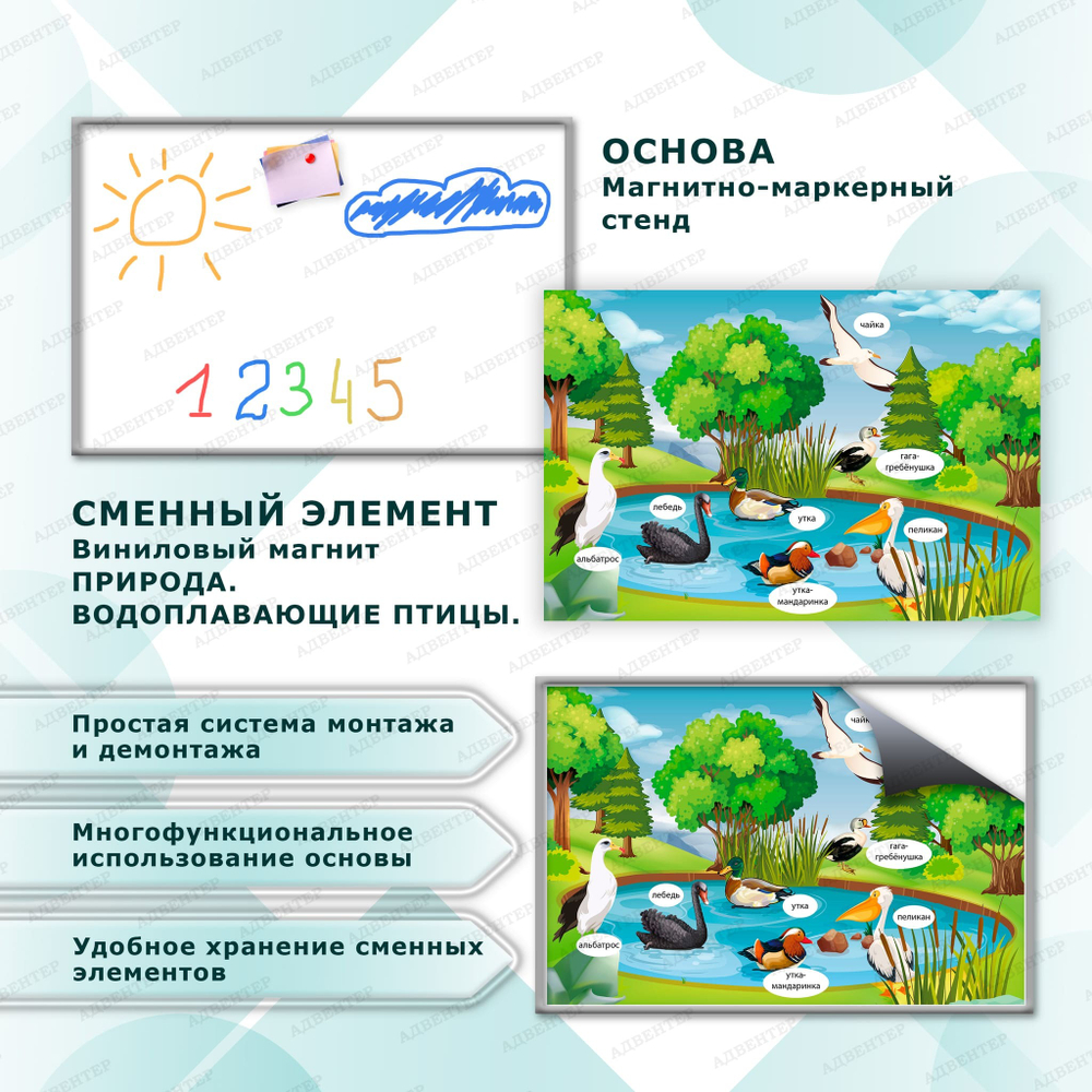 Комплект развивающий Природа: Водоплавающие птицы 2166