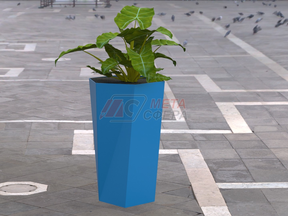 Вазон Скеу высокий