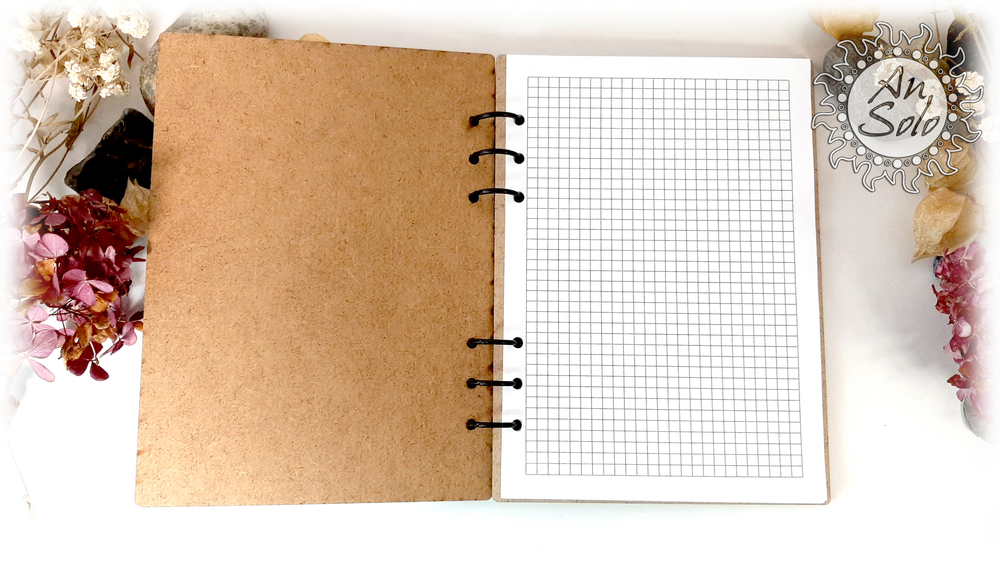 Блокнот "Ночной ворон" А5 формата на кольцах