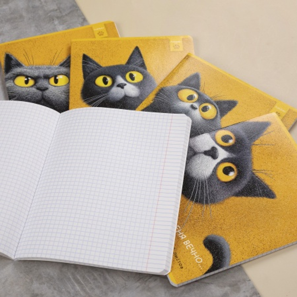 vtng78zxln6091mrpncqjmmalatjmxpu