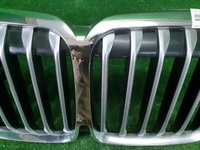 Решетка радиатора BMW X7 G07 (2019-2022)
