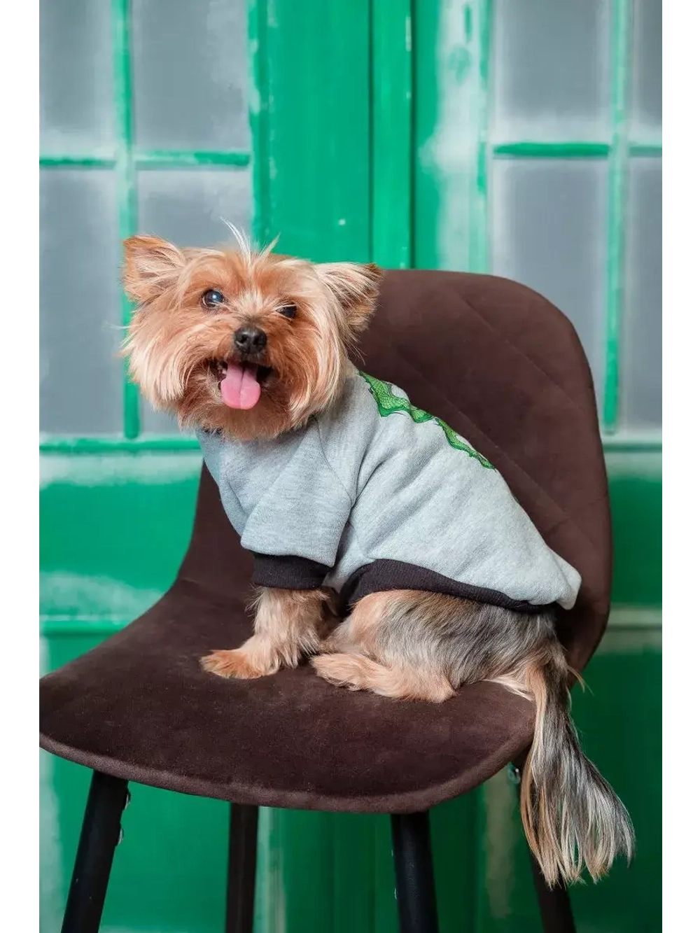 Толстовка для собак и кошек