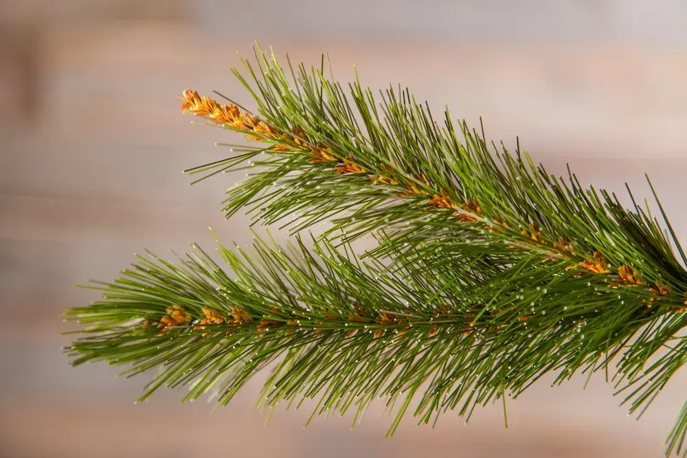 Елка Сказочная в мешочке 90 см., леска, Triumph Tree (73538)