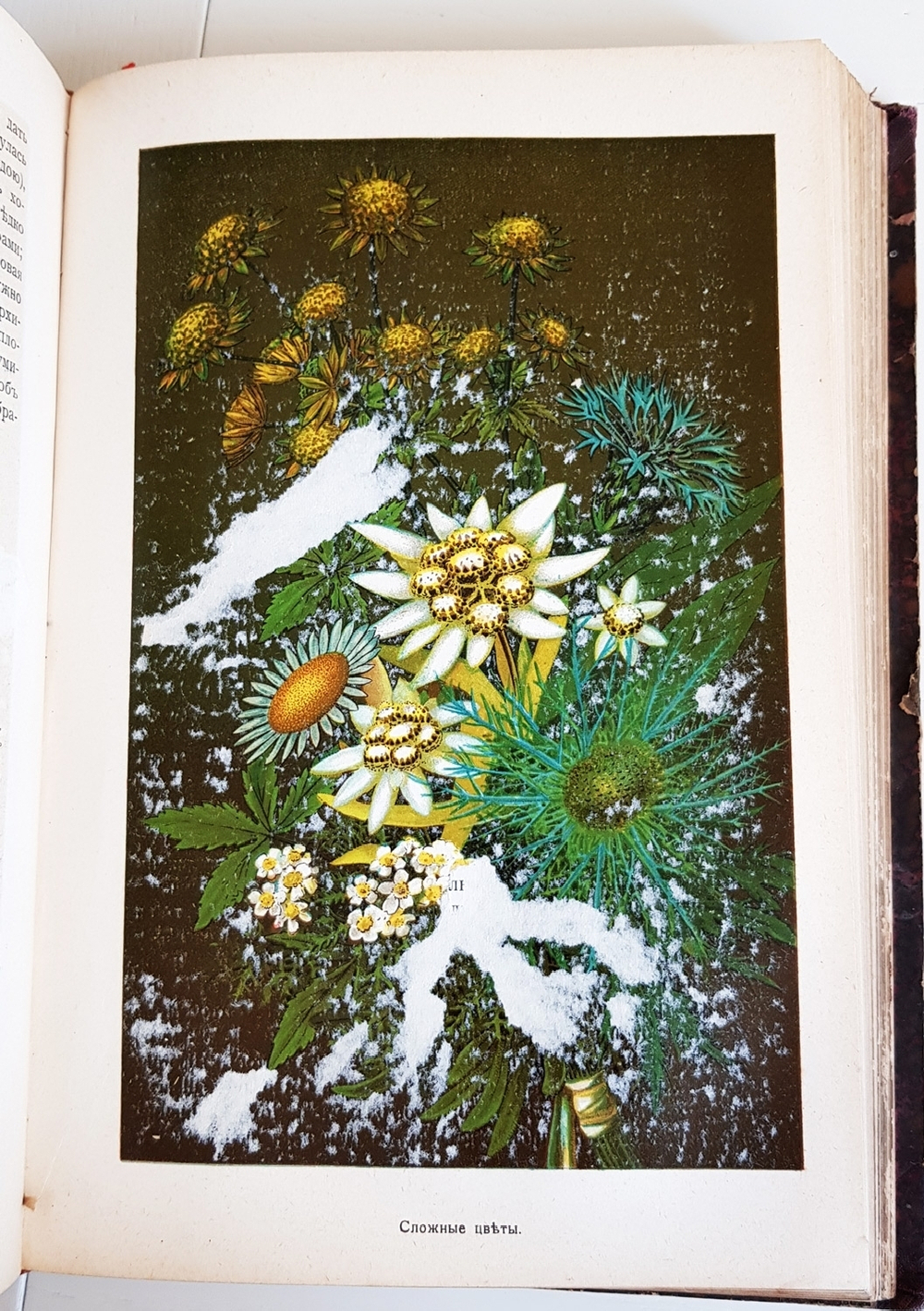 "Эволюция мира. Werden und vergehen. Том 2". Карус Штерне. 1909 г.