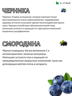 Черника SeedComs комплекс для поддержания зрения, 90капсул